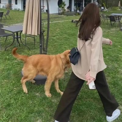 立案侦查
